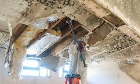 Mold Remediation for Vacation Homes in Weaver, AL